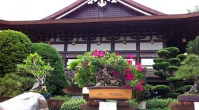 Tokyo Dining Menu: Epcot