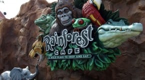 Rainforest Cafe: Menu