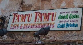 Tamu Tamu Refreshments Menu: Animal Kingdom