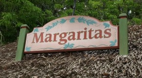 Margaritas in Epcot Review