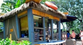 Leaning Palms Review Typhoon Lagoon