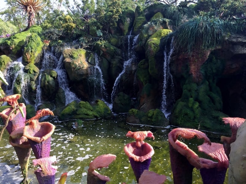 Top Experiences At Walt Disney World’s Animal Kingdom - Disney Dining