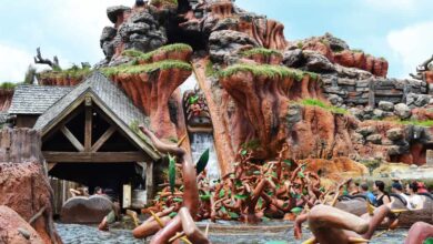 Splash Mountain