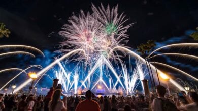 A crowd watches a vibrant nighttime fireworks display at Disney World, with colorful bursts and streams of light illuminating the sky above a waterfront, palm trees, and glowing lamps.