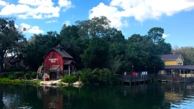 Tom Sawyer Island
