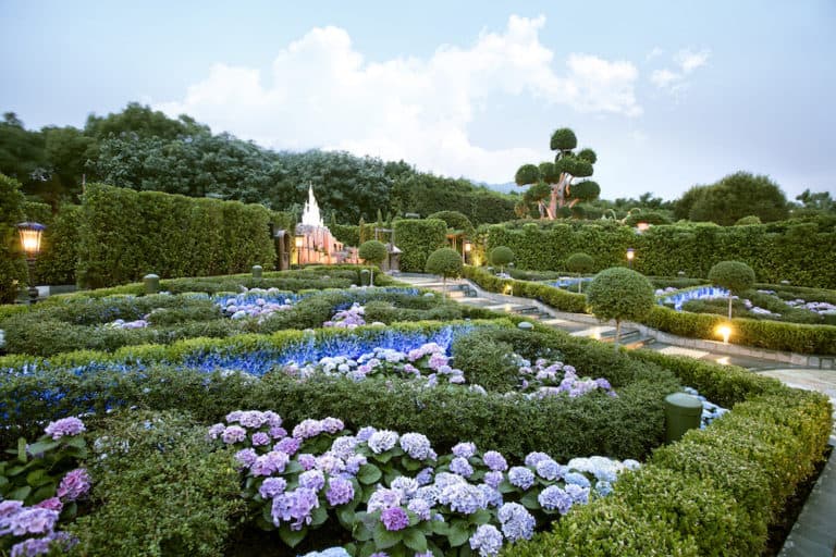 24 Photos of the Spectacular Colors of Spring at Disney Parks Around ...