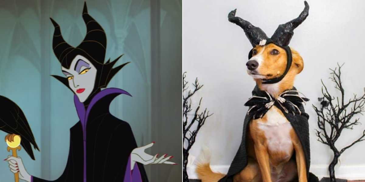 A split image featuring Maleficent, a fictional animated character in black attire with horned headpiece on the left, and on the right, a dog wearing a similar horned costume and cape, surrounded by small black tree decorations.