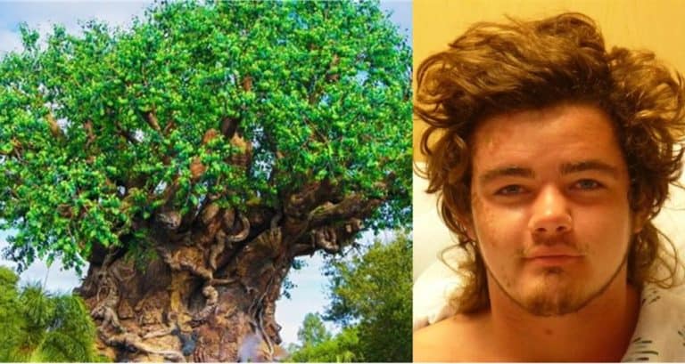 Man Charged with Attacking Security Guard at Disney's Animal Kingdom