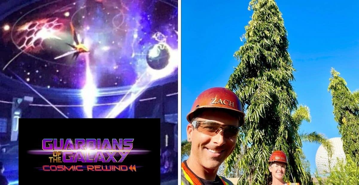 Cosmic Rewind Landscaping