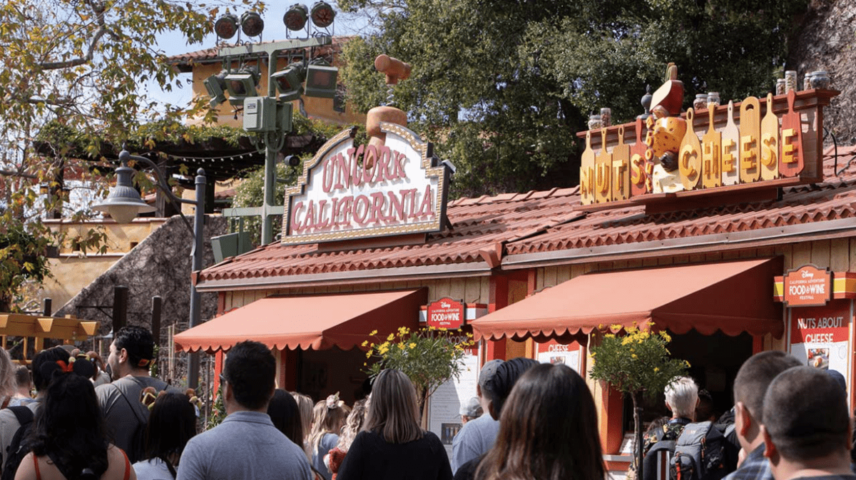 DCA Food and Wine Festival
