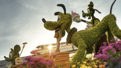 Pluto topiary at epcot during flower and garden festival