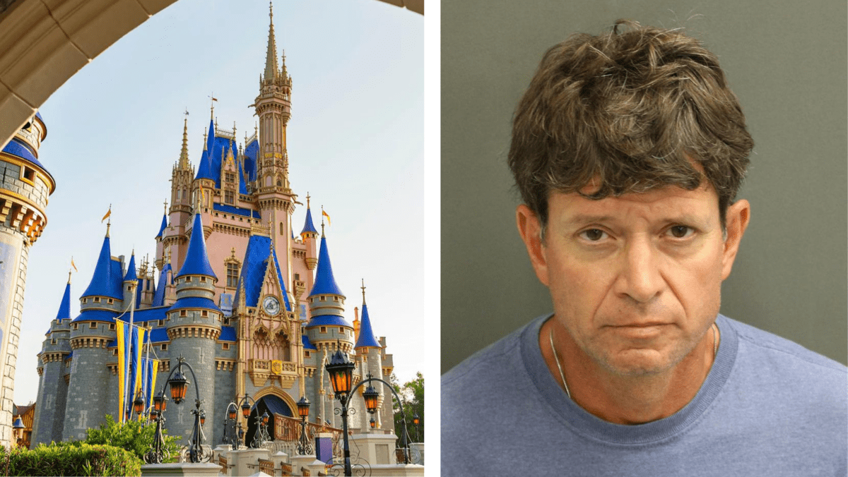 cinderella castle james anthony jones