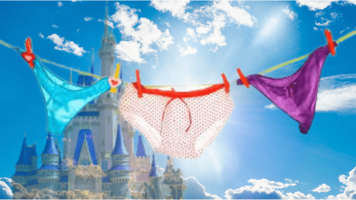 cinderella castle underwear on clothesline