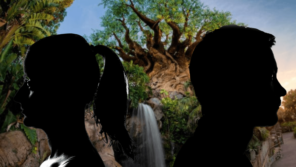 tree of life animal kingdom