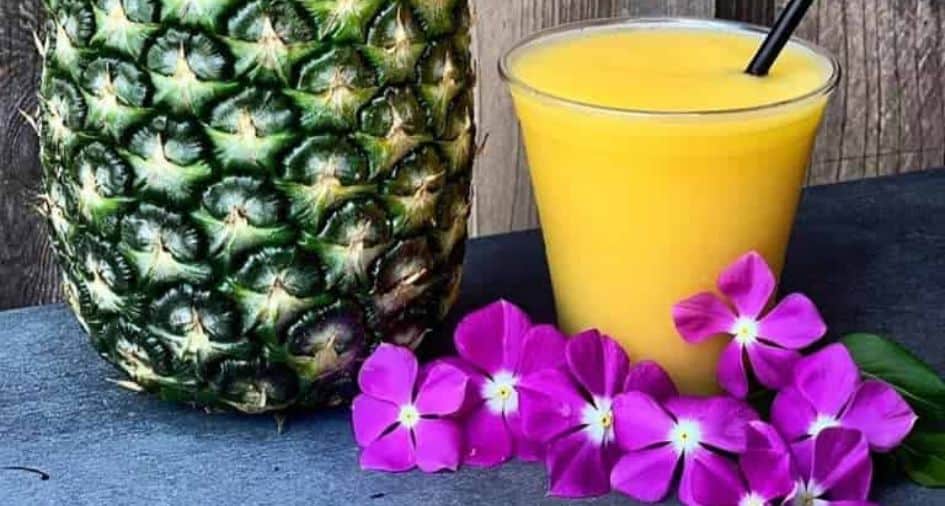 Frozen Mimosa