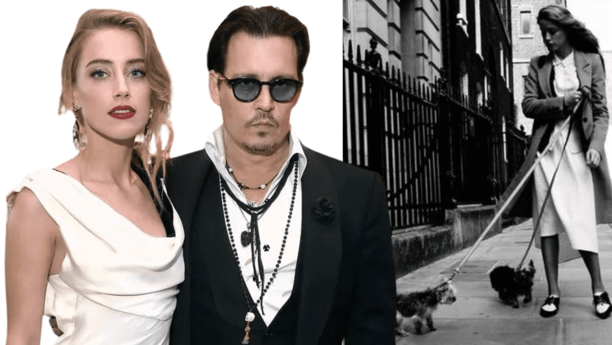 johnny depp amber heard