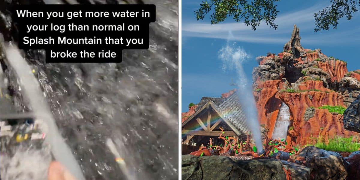Splash Mountain Flood