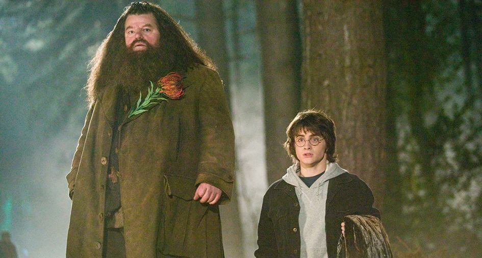 Hagrid Harry Potter