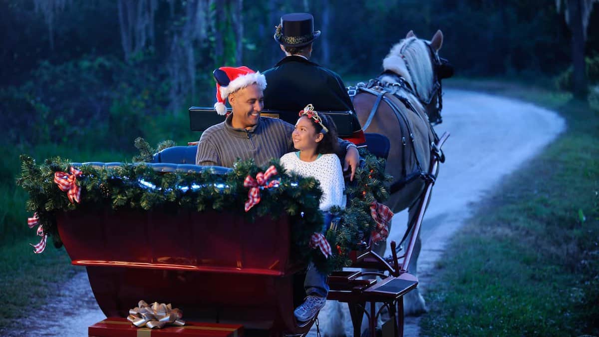 Disney sleigh rides