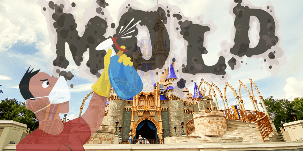 Disney mold