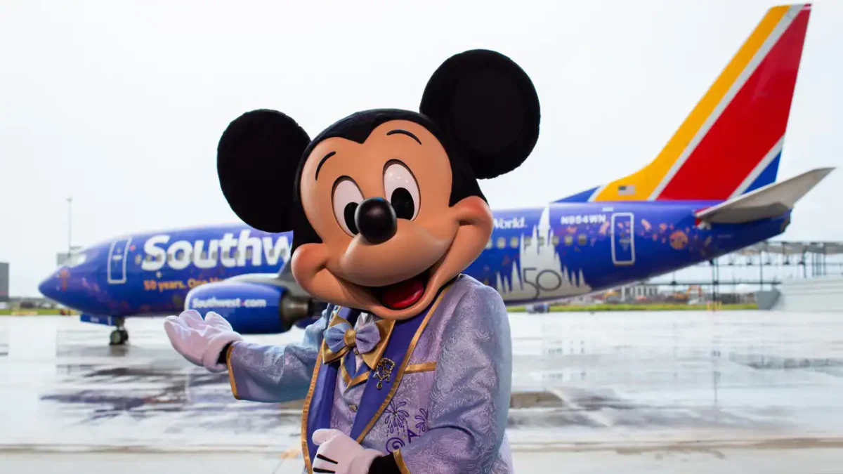 Mickey Southwest plane