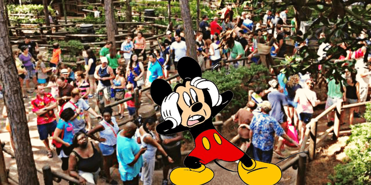 Splash mountain