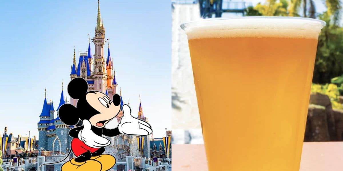 Free beer at SeaWorld Orlando
