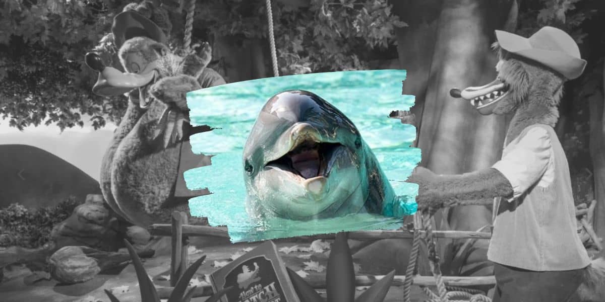 SeaWorld Throws Shade at Disney