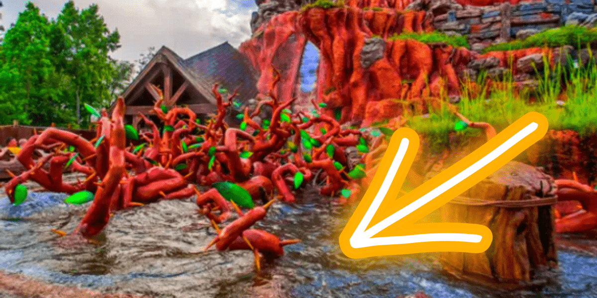 splash mountain water