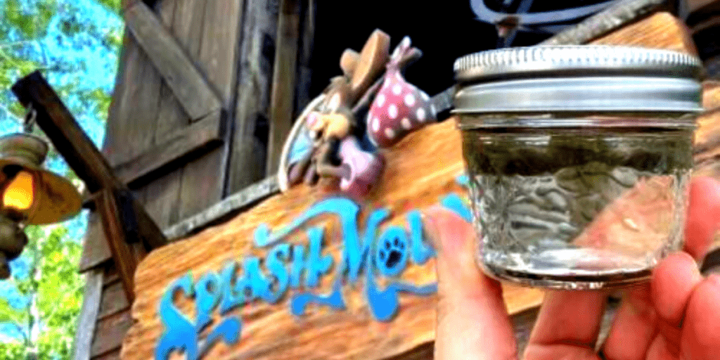 splash mountain water for sale