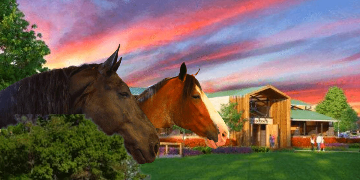 fort wilderness horses