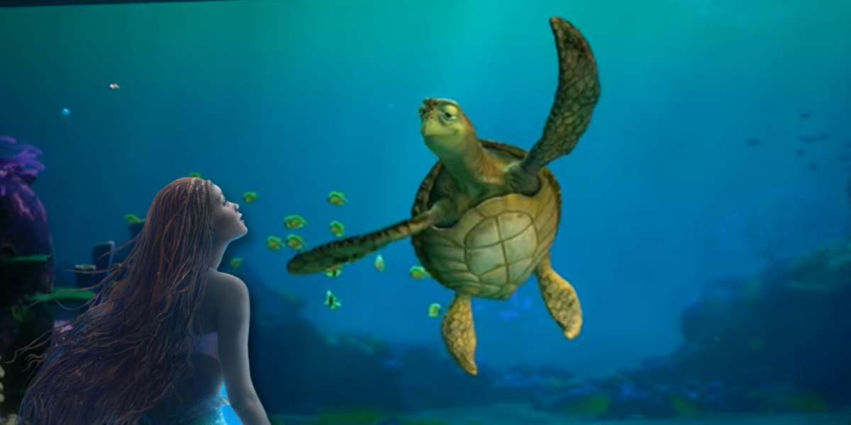 halley baileys ariel sits in an ocean scene with crush an animated sea turtle from finding nemo