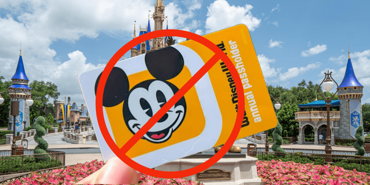 Walt Disney World Annual Pass