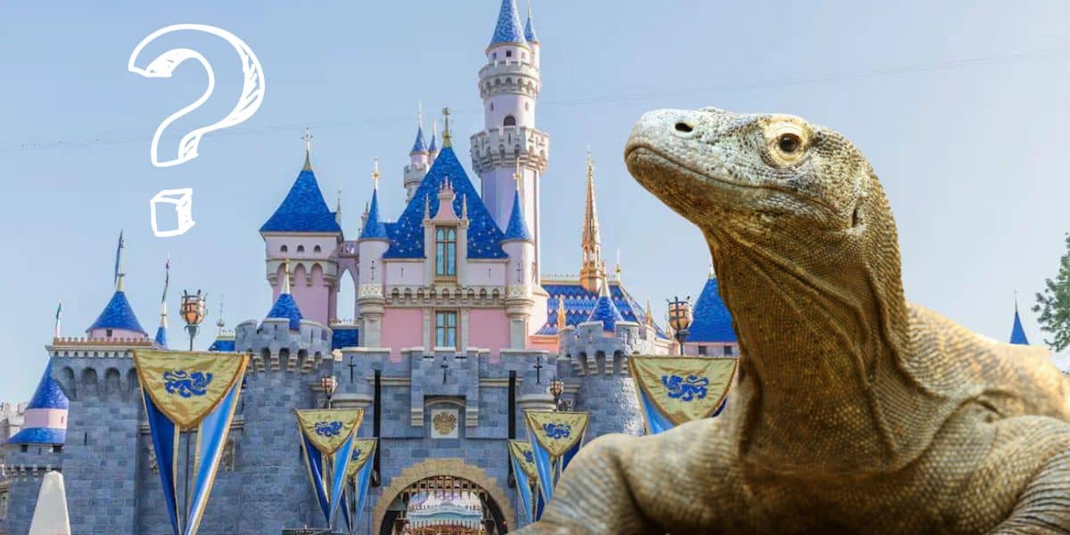 disneyland dragon alternative