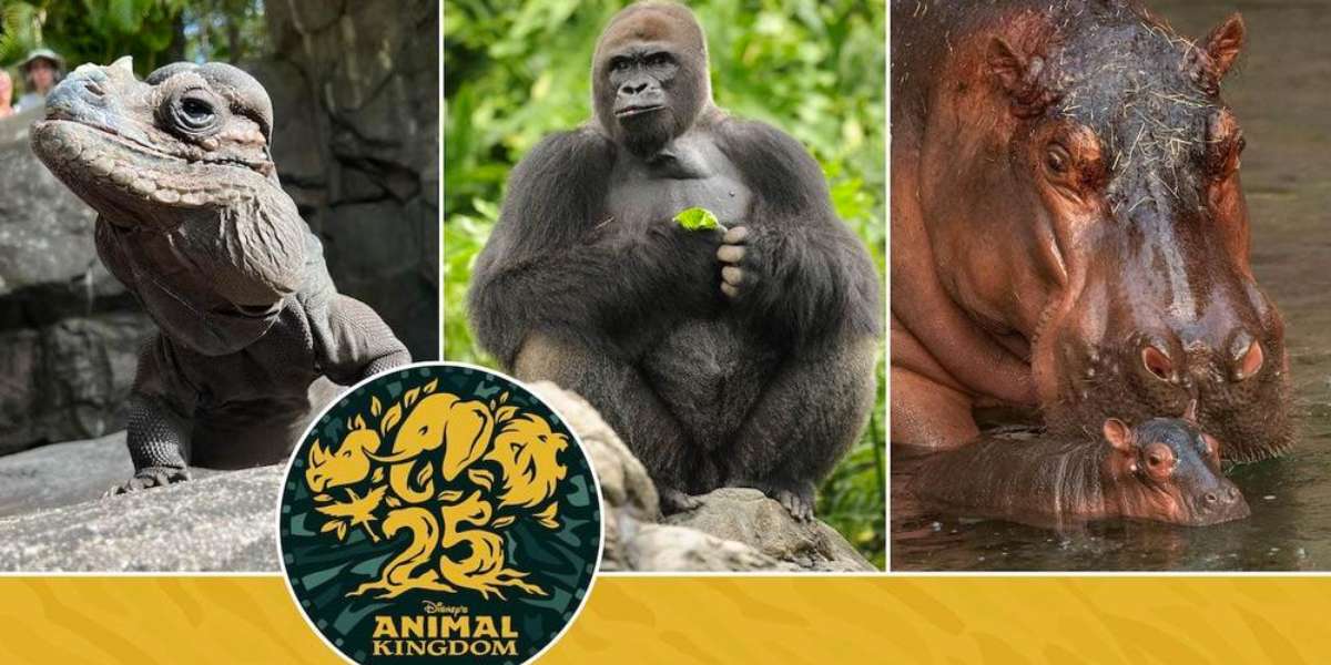 Animal Kingdom Residents