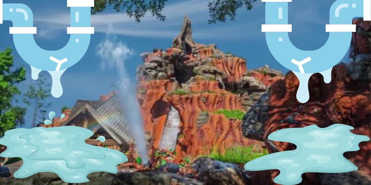 Splash Mountain leaking