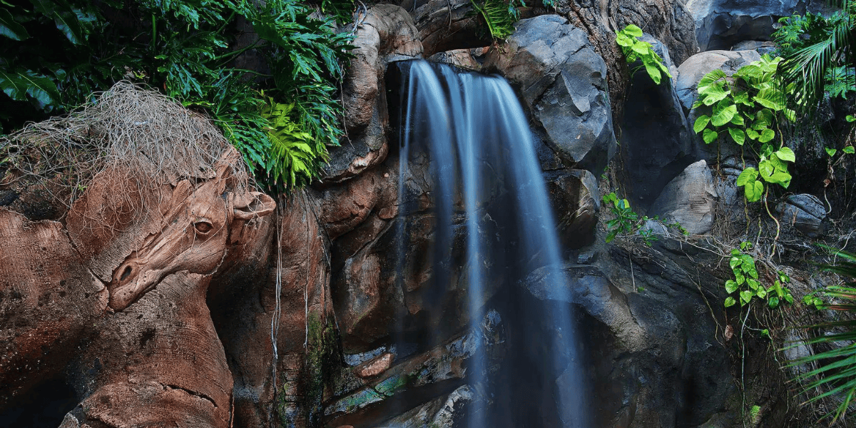animal kingdom tree of life