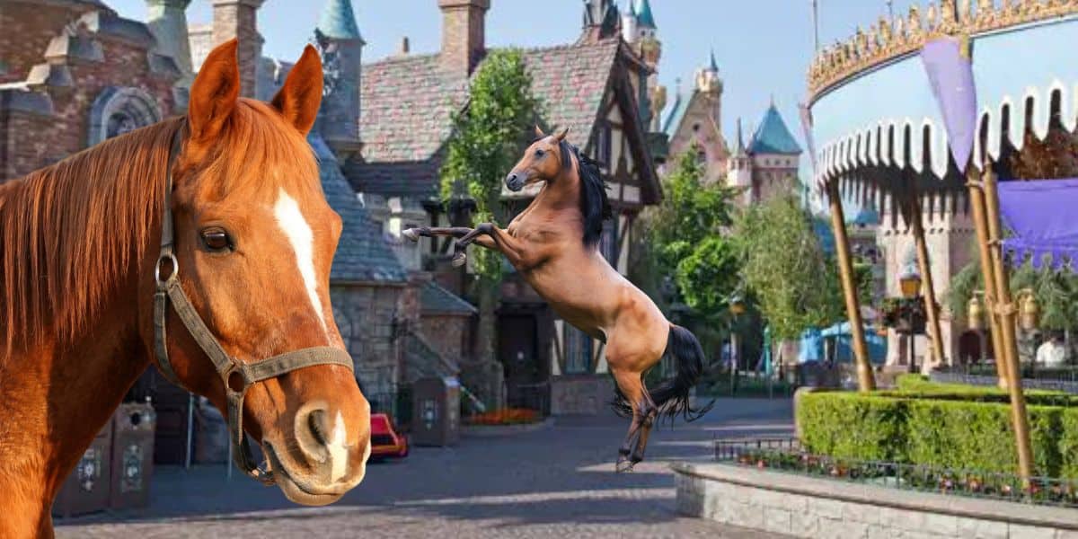 horse at Disney