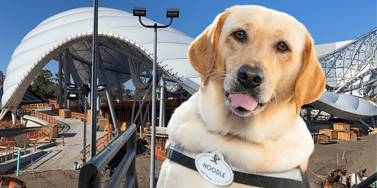 dog and disney world imagineering worksite