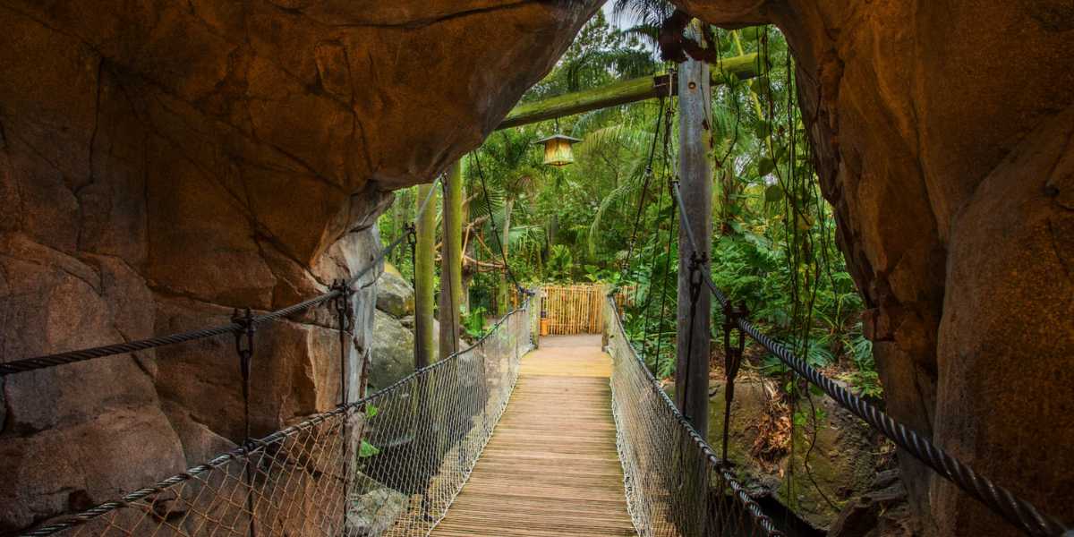 A bridge under a cave in the Oasis portion of Disney's Animal Kingdom