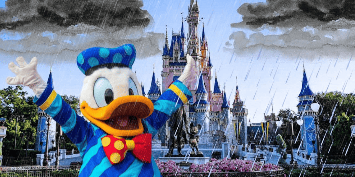 donald duck and cinderella castle