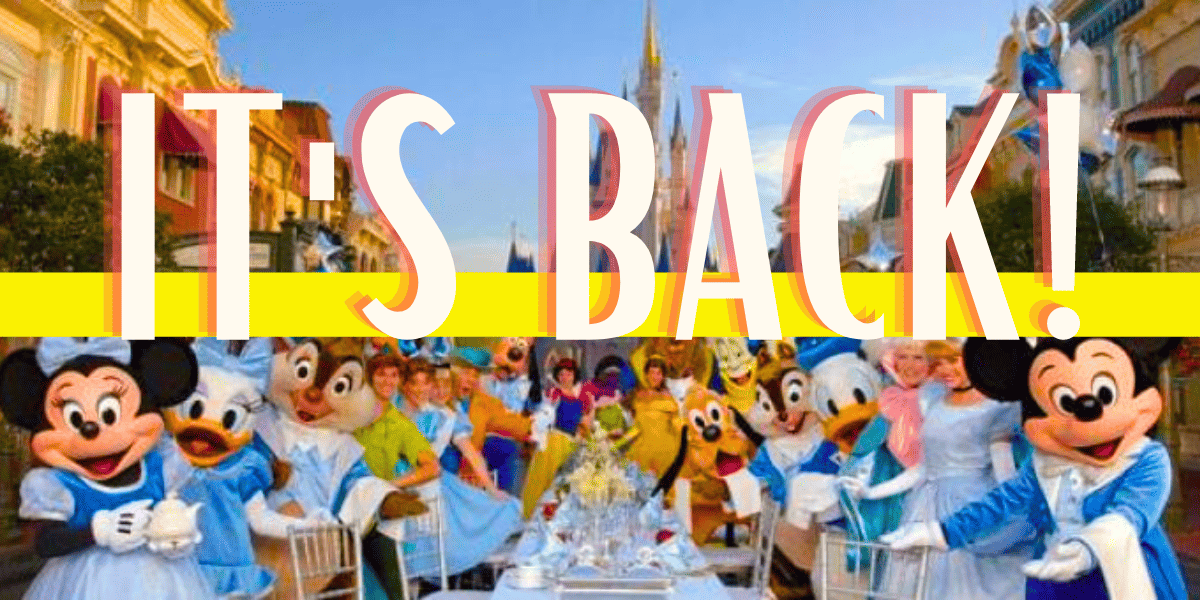 magic kingdom disney characters long table
