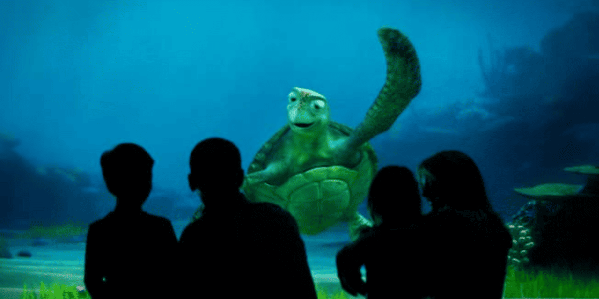 Turtle talk with crush