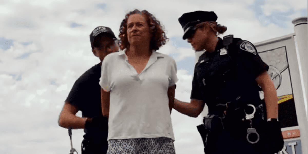 Abigail Disney arrested