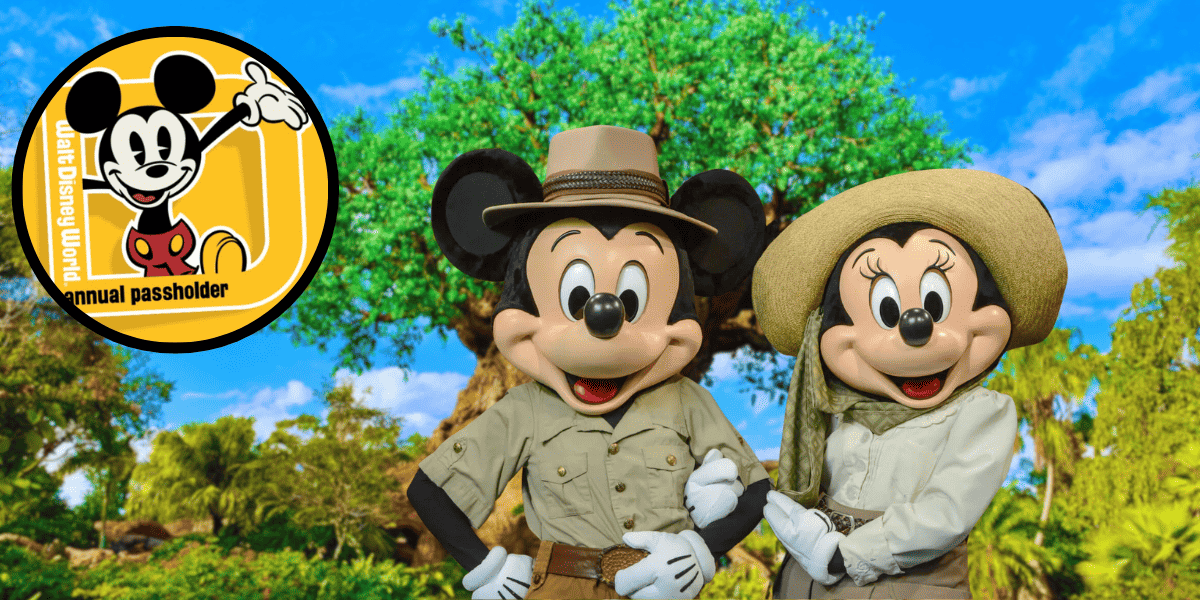 annual passholder. magnet, mickey and minnie, animal kingdom tree of life