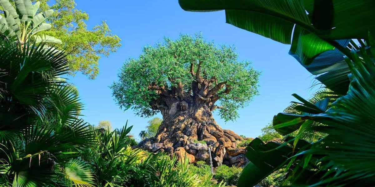 Tree of Life in Disney World's Animal Kingdom park