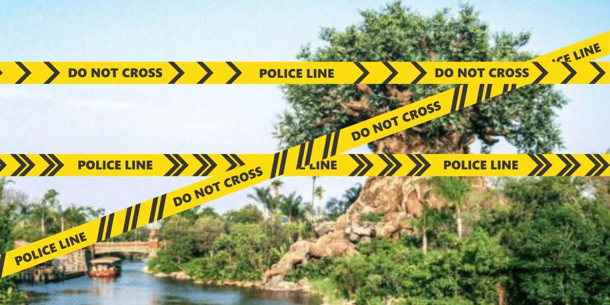 Animal Kingdom arrest drugs at disney world