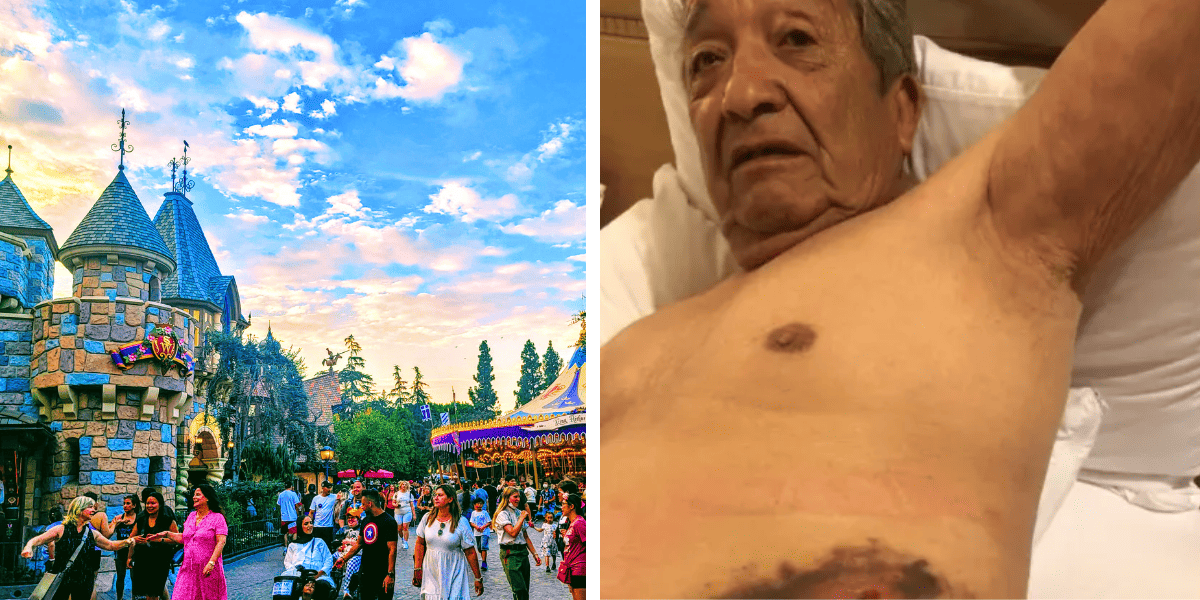 old man injured at disneyland lying in hospital and disneyland guests at the park