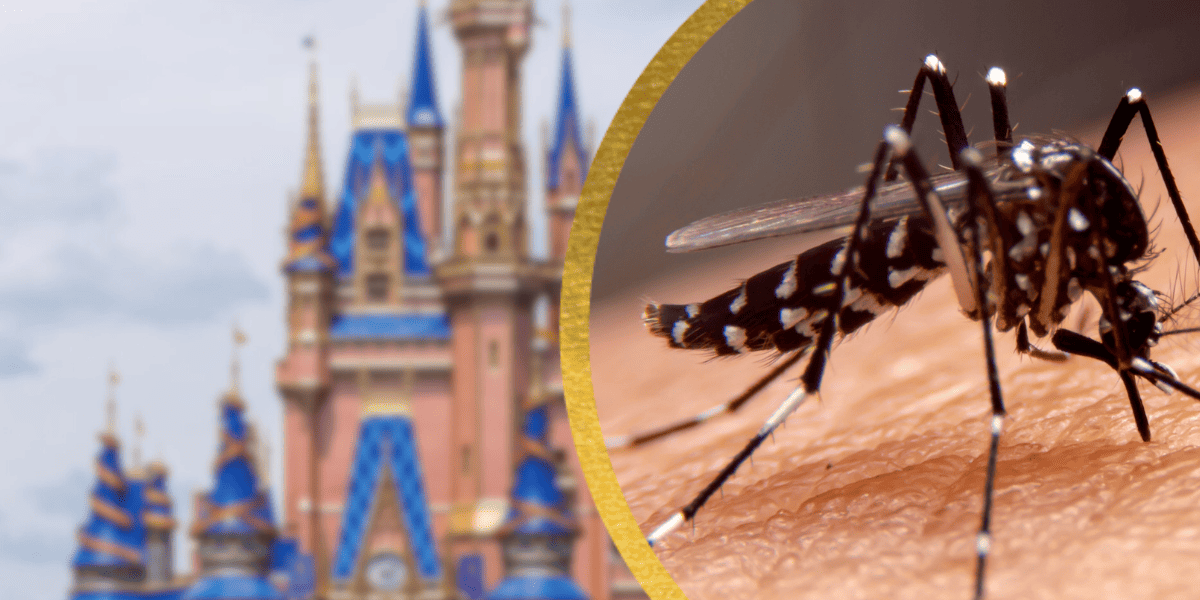 Deadly Virus Presents New Public Health Threat for Those Visiting Disney in Florida