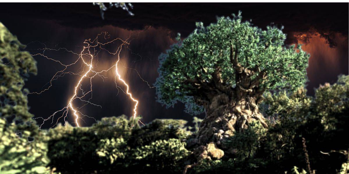 Lightning Animal Kingdom